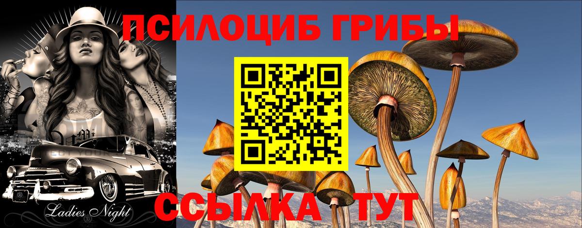 Шахты  Галлюциногенные грибы мухоморы  Галлюциногенные грибы мицелий  Вход с VPN 