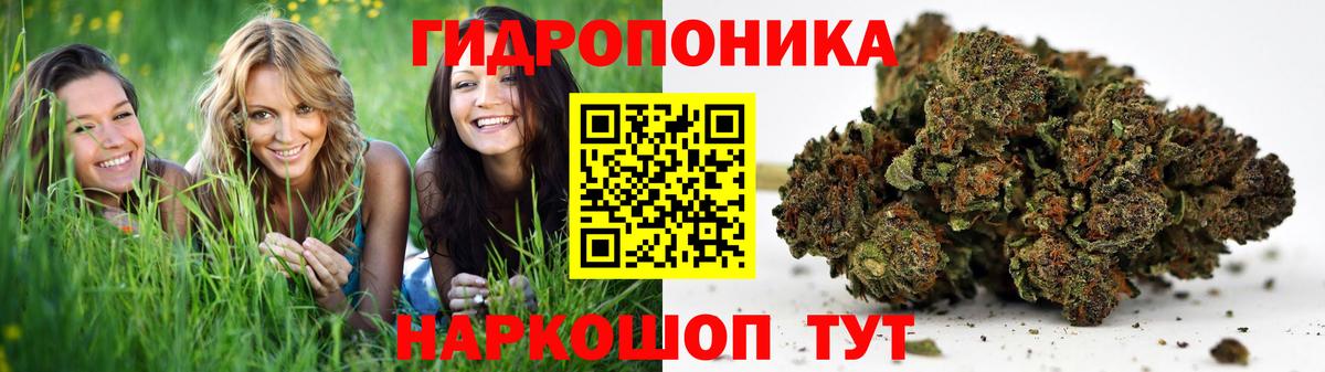 Конопля марихуана  Марихуана конопля  Шахты  Вход с VPN  Каннабис OG Kush 